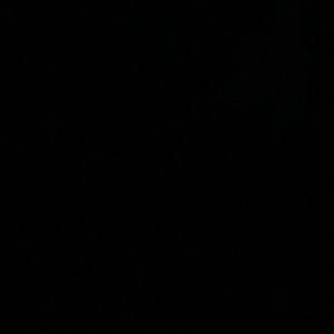 Meet your Posher, Laila